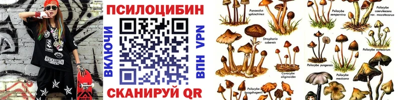 Псилоцибиновые грибы мицелий Спас-Деменск